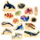 TickiT - Blocs de bois sur le thème de la vie marine - Lot de 15-15 créatures marines: Cet ensemble comprend 15 blocs en bois recto verso avec des animaux marins imprimés. Encouragez les enfants à utiliser leur imagination lorsqu'ils examinent les créatures océaniques