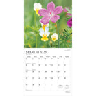 Plato - 2026 Fleurs Sauvages Calendrier mural Suspendu Mensuel - 30,5 cm l x 61 cm H - Anglais-À Utiliser Tout de Suite - Calendrier de 16 mois, 12 pages de mois pleines et comprenant en prime les quatre derniers mois de l'année précédente avec une image supplémentaire