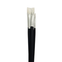 DBLG Import - Pinceau Taklon Plat Taille 12 - Paquet de 12 -Taille 12