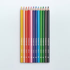 Staedtler - Crayon pour aquarelle triangulaire - assorti - Paquet de 12-Couleurs vives