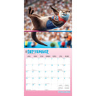 BrownTrout - 2026 Otter Olympics Calendrier mural Suspendu Mensuel - 30,5 cm l x 61 cm H - Anglais-Grandes Pages de Jour Spacieuses - Tous les jours fériés les plus importants et les phases de la lune sont indiqués, avec beaucoup d'espace pour inscrire des notes et des rendez-vous