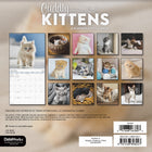 DateWorks - Mini Calendrier Mural 16 Mois des Chatons Câlins de 2025 - 7 po x 7 po - Anglais-Comprend des pages mensuelles de janvier à décembre 2025, ainsi que les 4 derniers mois de 2024.