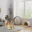 PawHut - Roue pour chat 36 po d’intérieur avec frein, coussinets à griffer - gris-Convient pour un chat de moins de 11 lb 