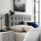 Modway - Lily Biscuit Touffé Performance Velvet Tête de lit Queen, Gris-Tissu résistant aux taches durable