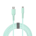 Basic Tech - Câble USB-C Tressé de 6 pi - Menthe-Élégant et sans enchevêtrement