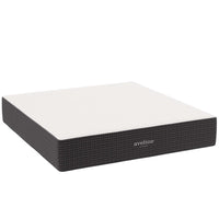 Modway - Aveline 14 po Mousse à mémoire de forme Matelas King-Mousse à mémoire de forme infusée au gel rafraîchissant de 5 po