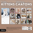 DateWorks - 2026 Calendrier Mural 16 Mois - 12 po x 12 po - Chatons Câlins - Bilingue -13 images de haute qualité imprimées sur du papier Premium