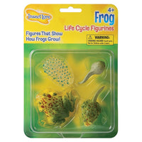Chiffres des étapes du cycle de vie de la grenouille du savoir des insectes-Ces figures réalistes du cycle de vie peuvent passer pour des êtres vivants !