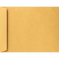 LUX - Enveloppes 13 x 19, très grandes, 28 lb, brun kraft, 500/boîte (22663-500)-Les enveloppes grand format de mesurant 13 x 19 sont idéales pour les projets d?art, les cartes, les vêtements, les échantillons, les vidéos, les documents de marketing, les articles promotionnels, les gros cadeaux et les documents grand format.
