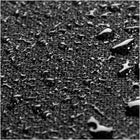 Blackstone - Housse pour plaque de cuisson 28"-Coins renforcés