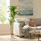 HOMCOM - Arbre dracaena artificiel 5 pi pour décoration intérieure - vert-Profitez d'une beauté toujours verte sans arrosage, taille ou entretien requis 