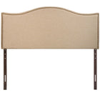 Modway - Curl Nailhead Tapis Tête de lit Queen, Café-Cadre en panneaux de particules et en bois massif