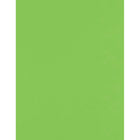Jam Paper, 100 lb Carton, 8,5 po l x 11 po H, Vert lime, 50 Paquet-Papier cartonné pour des créations amusantes : Si vous aimez le scrapbooking, la création de cartes ou d'autres loisirs créatifs, vous adorerez notre papier cartonné de haute qualité de 215,9 mm x 279,4 mm (8,5 po x 11 po). Il est suffisamment résistant pour supporter les encres, les autocollants, les décorations et bien plus encore. Que vous immortalisiez vos vacances en famille ou que vous réalisiez un joli cadeau fait main, vous adorerez 