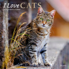 Plato - 2026 J'aime Les Chats Calendrier mural Suspendu Mensuel - 30,5 cm l x 61 cm H - Anglais-Photographie - Chaque mois, découvrez de superbes photographies ou œuvres d'art en couleur