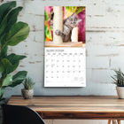 Plato - 2026 J'aime Les Chats Calendrier mural Suspendu Mensuel - 30,5 cm l x 61 cm H - Anglais-Caractéristiques - 16 mois (mise en page sur deux pages de septembre à décembre 2025 et de janvier à décembre 2026) , 30,5 cm x 30,5 cm (fermé) , 30,5 cm x 60,9 cm (ouvert) , 28 pages