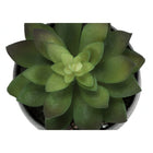 Monarch Specialties - Plante Artificielle - 6 po H - Succulent - Mis En Pot - Ensemble De 3 - Plantes Vertes - Pots Ciment Gris-9