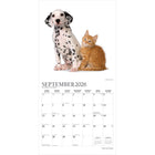 Plato - 2026 Chatons & Chiots Calendrier mural Suspendu Mensuel - 30,5 cm l x 61 cm H - Anglais-Grandes Pages de Jour Spacieuses - Tous les jours fériés les plus importants et les phases de la lune sont indiqués, avec beaucoup d'espace pour inscrire des notes et des rendez-vous