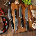 Minimal - Ensemble de couteaux à steak Damascus Black G10 de 4 pièces, service pour 4 personnes-Longueur totale : 230 mm avec longueur de lame : 120 mm