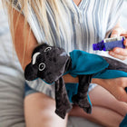 FDMT - Manimo Lesté pour chien - 1 kg-Efficacité scientifiquement prouvée