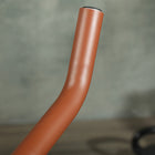 Soozier - Vélo d’exercice-Système à courroie fonctionnant silencieusement, idéal pour un usage domestique