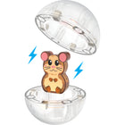 Magna-Tiles - Ensemble de construction magnétique Boule pour hamster 13 pièces-Toujours compatibles: Toutes les pièces sont compatibles et complémentaires à tous les autres ensembles MAGNA-TILES, y compris tous les ensembles MAGNA-TILES classiques