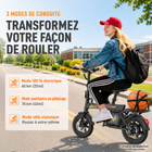 Gyrocopters - Vélo électrique PixAI pour adultes et adolescents - Vitesse 32 km/h - Autonomie (assistance) 70 km - Noir-La norme de sécurité haut de gamme du Canada. Le PixAI est entièrement certifié UL 2849, garantissant que la batterie, le moteur et le cadre satisfont à des tests rigoureux d'intégrité électrique et structurelle