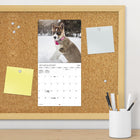 DateWorks - 2026 Mini Calendrier Mural 16 Mois - 7 po x 7 po - Chiots - Bilingue -Comprend des pages mensuelles de janvier à décembre 2026, ainsi que les 4 derniers mois de 2025