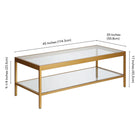 Hudson&Canal - Table basse rectangulaire Alexis (45 po de largeur) - Laiton-Dimensions du produit : 20" L x 45" l x 17" H