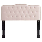 Modway - Sophia Touffe Performance Velvet Tête de lit complète/Queen, Rose-Rembourrage en mousse dense
