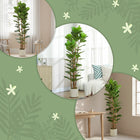 HOMCOM - Arbre artificiel de figuier lyre 6 pi pour décoration intérieure - vert-Une base lestée assure la stabilité, le rendant sûr pour les enfants et les animaux de compagnie 