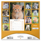 Mead - Calendrier décoratif Chatons 2027, 12 po x 12 po, bilingue-Présente des illustrations mensuelles en couleurs pour embellir les espaces
