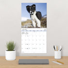 DateWorks - Calendrier Mural 16 Mois 2025 Chiots - 12 po x 12 po - Anglais-Parfait à accrocher sur un mur, un tableau en liège ou un tableau d'affichage à la maison, à l'école ou au bureau