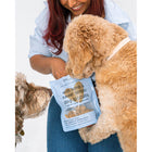 Dexypaws - Friandises pour chiens à l'agneau et à la patate douce-Sans soja et sans maïs