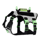 Healthy Harness - Harnais Absolute Adventure - Argent - XXL-Conception anti-traction et anti-étranglement – ​​prévient les pressions néfastes sur le cou et la gorge de votre chien pour des promenades plus sûres et plus saines