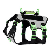 Healthy Harness - Harnais Absolute Adventure - Argent - XXL-Conception anti-traction et anti-étranglement – ​​prévient les pressions néfastes sur le cou et la gorge de votre chien pour des promenades plus sûres et plus saines