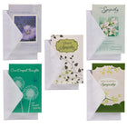 Jam Paper - Cartes de Noël pour argent avec enveloppes assorties, Sapin Joyeux Noël, Paquet de 6-Cartes de vœux festives, parfaites pour offrir de l'argent à vos amis et à vos proches
