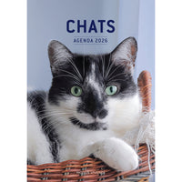 Modus Vivendi - Chats Agenda 2026-January To December
