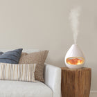 Pure Enrichment - Diffuseur de roche de sel de l'Himalaya en cristal PureGlow-Solution 2 en 1 : notre lampe au sel de l'Himalaya et notre diffuseur d'huiles essentielles à ultrasons 2 en 1 peuvent être utilisés simultanément ou séparément comme lampe à sel et diffuseur d'arômes.