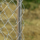 PawHut - Parc pour chiens, enclos d’exercice pour chiens, enclos de course pour chiens 172,2 pi²-Accès facile par la porte d’entrée 