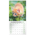 Mead - Calendrier décoratif Chatons 2027, 12 po x 12 po, bilingue-Imprimé sur du papier de qualité pour une lisibilité durable toute l’année