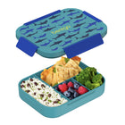Bentgo - Boîte à lunch étanche Snap & Go pour enfants - Requin-Bénéficiez d’une garantie de 2 ans, la meilleure du secteur, et d’un service client attentif, pour une satisfaction totale.