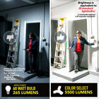 Bell+Howell - Éclairage d'atelier à DEL TriBurst Colour Select - 5 500 lumens-Économie d'argent : La sélection de couleur Triburst est super économe en énergie émettant de la lumière équivalente à 20 ampoules, coûtant un total de 9,64 $ par an par rapport à 124,4 $ par an, vous permettant d'économiser des tonnes d'argent sur les coûts d'énergie chaque année.