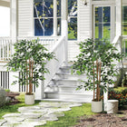 HOMCOM - Arbre banian artificiel 4 pi pour décoration intérieure - vert - lot de 2-Ne nécessite aucun entretien, offrant une verdure éternelle pour votre maison ou votre bureau 