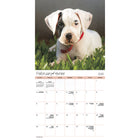 DateWorks - Calendrier Mural 16 Mois 2025 Chiots - 12 po x 12 po - Bilingue-13 images de haute qualité imprimées sur du papier Premium.