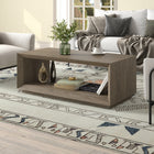 Hudson&Canal - Table basse rectangulaire Evie 48" L - Chêne gris vieilli-Fini en chêne gris vieilli aspect bois