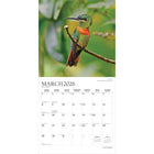 Plato - 2026 Colibris Calendrier mural Suspendu Mensuel - 30,5 cm l x 61 cm H - Anglais-À Utiliser Tout de Suite - Calendrier de 16 mois, 12 pages de mois pleines et comprenant en prime les quatre derniers mois de l'année précédente avec une image supplémentaire