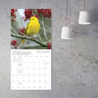 Sellers Publishing Inc. - Calendrier mural 2026 - Songbirds - Anglais-Comprend les phases lunaires et tous les principaux jours fériés des États-Unis, du Canada, du Royaume-Uni, de l'Australie et de la Nouvelle-Zélande