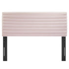 Modway - Tranquil Tête de lit jumelée, Rose-Rembourrage en mousse dense