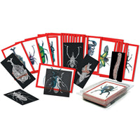 Roylco – Radiographies d’insectes et cartes de photos (R-5912)-Convient aux enfants de 4 ans et plus, d’âge préscolaire jusqu’en 3e année