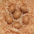 Yellow Door - Œufs sonores sensoriels-Comprend six œufs réalistes avec trois sons différents